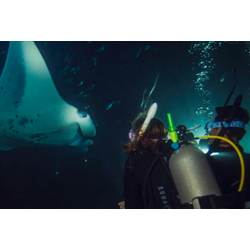 Night Diver Course